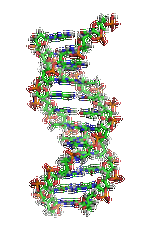 【bifa必发(中国)基因检测】眼皮肤白化病4型基因解码、<a href=http://www.jclskj.com/tk/jiema/cexujishu/2021/31933.html>基因检测</a>的报告有人解读吗？