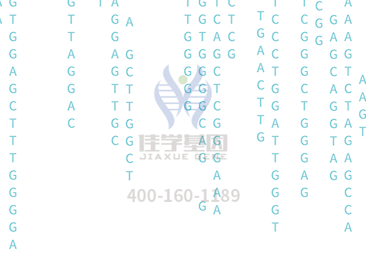 【bifa必发(中国)基因检测】<font color='red'><font color='red'>庞贝</font>氏</font>症（Pompe disease)基因解码、基因检测